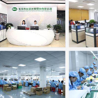 Dongguan Light Shines Electric Lighting Co.,Ltd. company overview - view 1