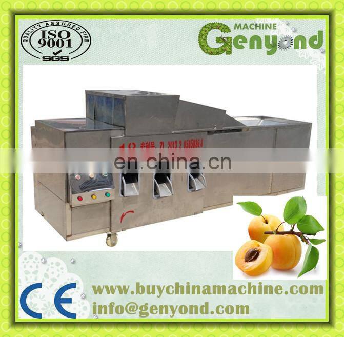 Apricot Seed Removing Machine Fruit Seed Remover