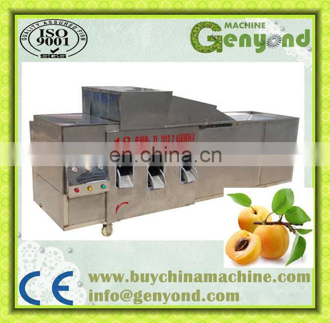 Cherry pitting machine / olive seed / cherry pit removing machine