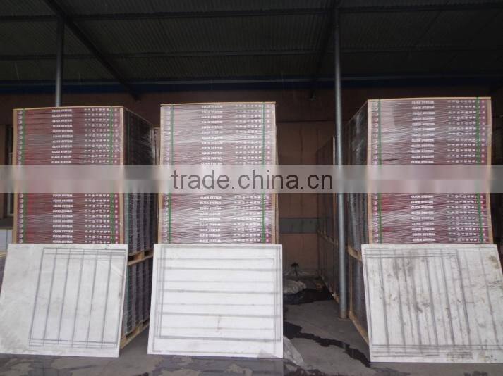 Dongyang Maosheng Plastic Co., Ltd. company overview - view 4