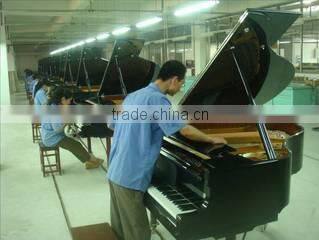 Nanjing Schumann Piano Manufacturing Co., Ltd. company overview - view 2