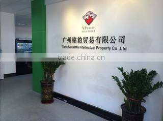 Guangzhou Vpower Trading Co., Ltd. company overview - view 1