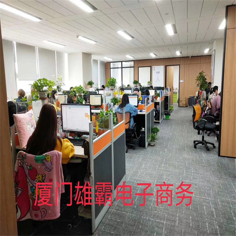 Xiamen Xiongba E-commerce Co., Ltd. company overview - view 1