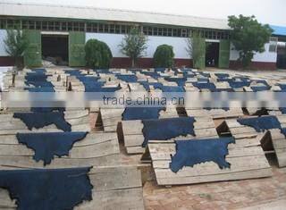 Weixian Top Fur Products Factory company overview - view 3