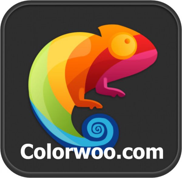 Colorwoo Company Limited - Luminous display supplier