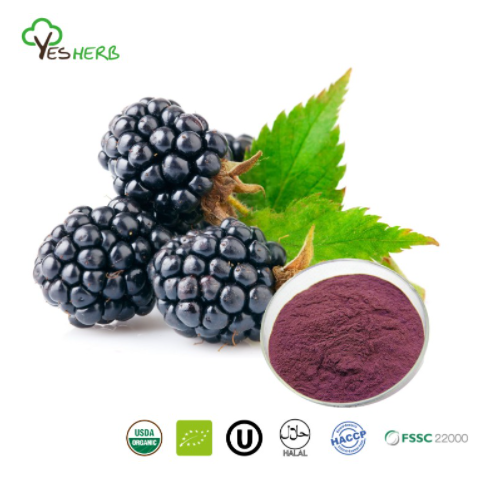 What Are the Benefits of Mulberry Powder?