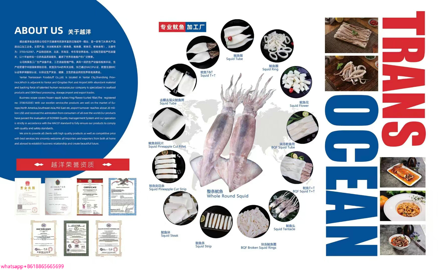 Yantai Transocean Foodstuff Co.,Ltd company overview - view 1