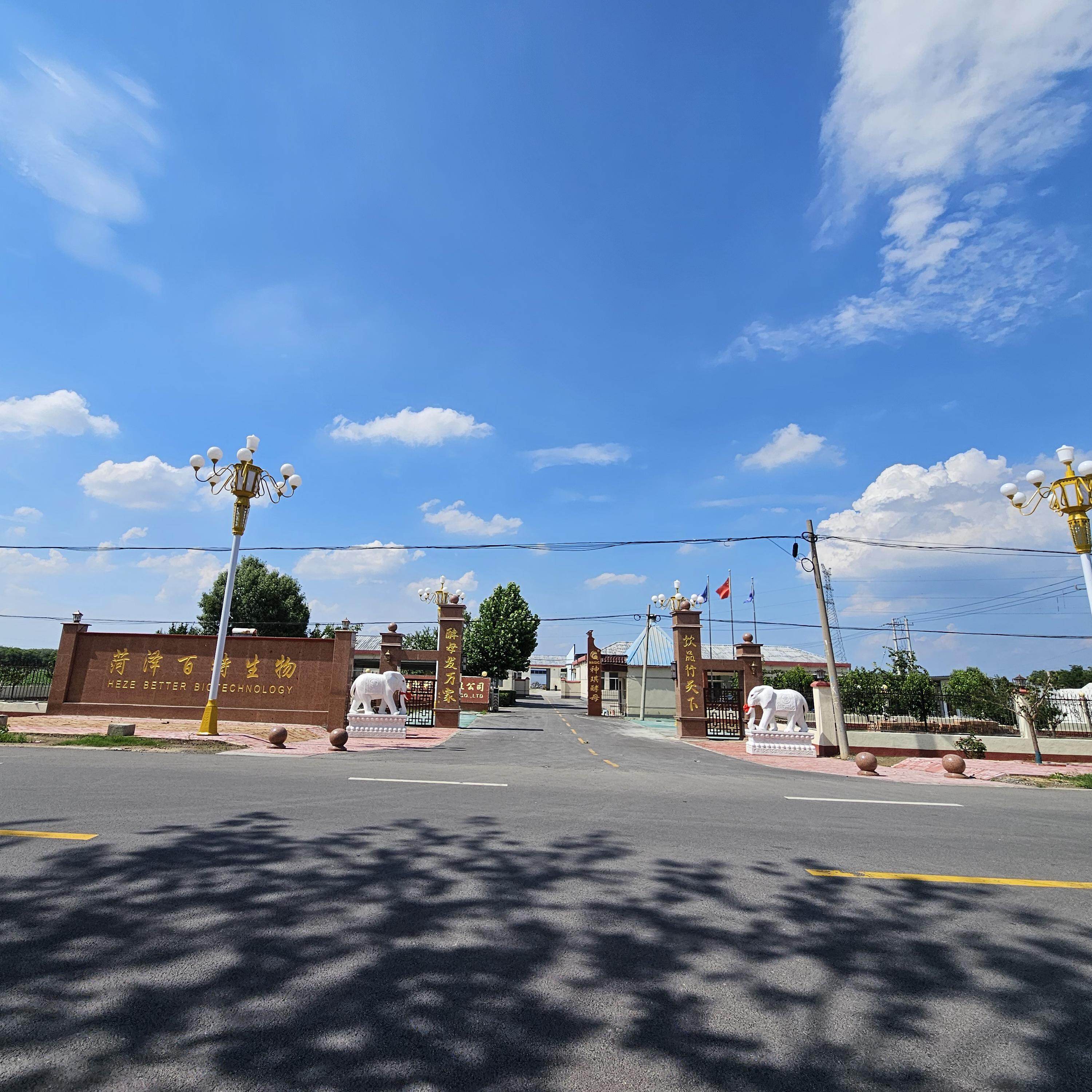 Heze Better Biotechnology Co.,ltd company overview - view 1