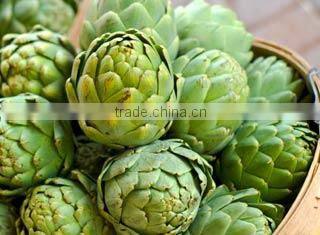 Apex International company overview - view 2