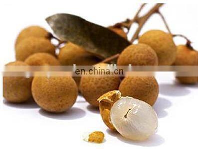 longan fruit peeling and pitting machinery lychee fruit peeler and seeds core removing equipment litchi juice processing line