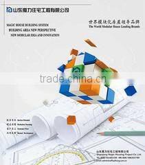 Shandong Magic Housing Project Co., Ltd. company overview - view 1