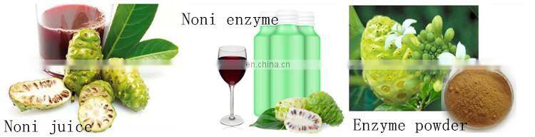 small scale Fresh noni juice production plant