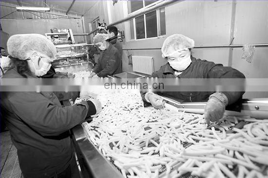 french fries making machine