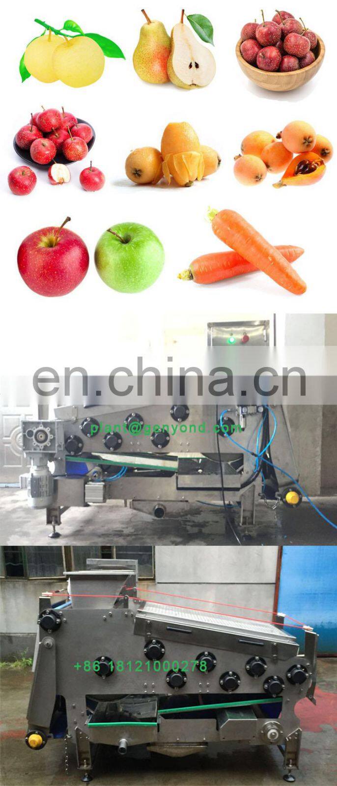 belt type high juice yield fruit juicer machine