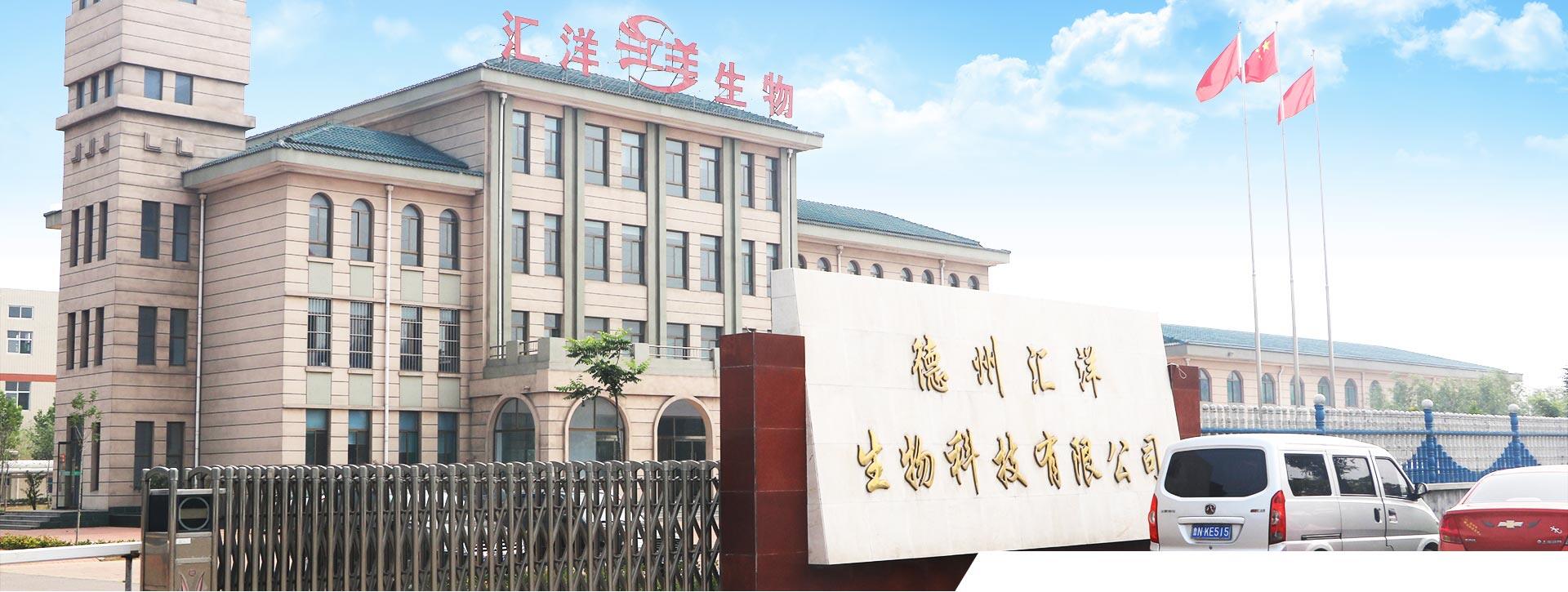 Dezhou Huiyang Biotechnology Co., Ltd. company overview - view 1