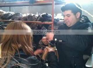 Qingdao Arison Hair Product Co., Ltd. company overview - view 1