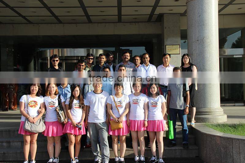 Hebei Tianshun Children Toys Co., Ltd. company overview - view 3