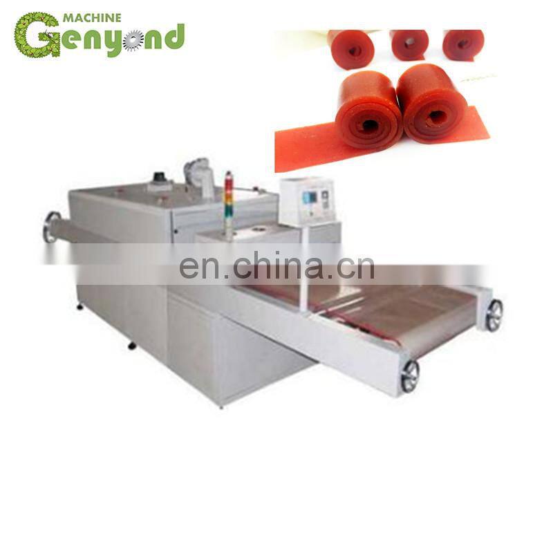 fruit leather making machine/production line