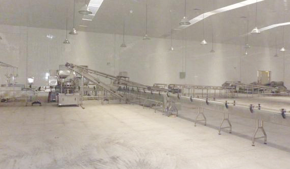 Canned Red Beans Mung Beans Green Peas Production Line
