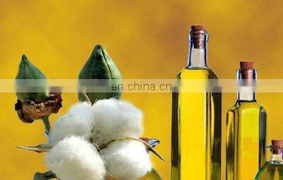Hydraulic oil grapeseed oil edible oil pressing machine Cold & Hot Pressing Machine