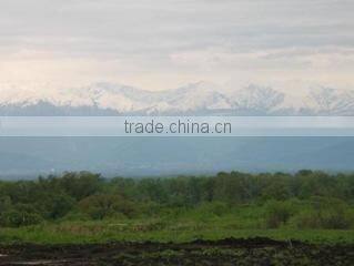 Aromaproduct Ltd company overview - view 3