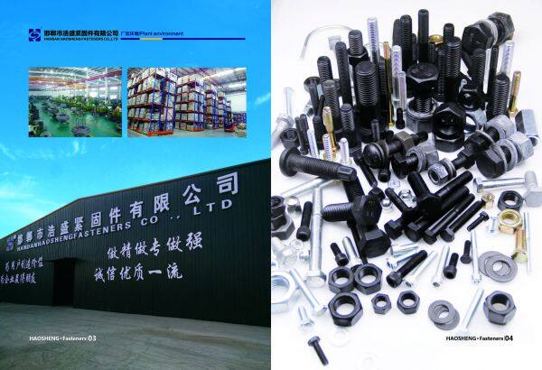 Handan Haosheng Fastener Co.,Ltd company overview - view 1