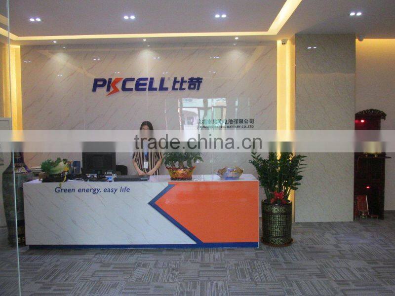 Shenzhen Pkcell Battery Co., Ltd. company overview - view 2