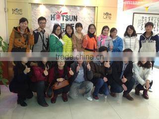 Shenzhen Hotsun Display Products Co., Ltd. company overview - view 1