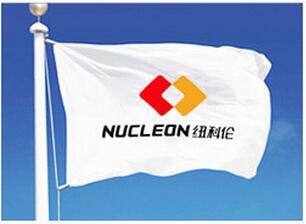 Nucleon crane group