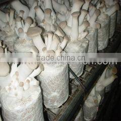 Guangzhou Lianguan Trade Limited Company company overview - view 2