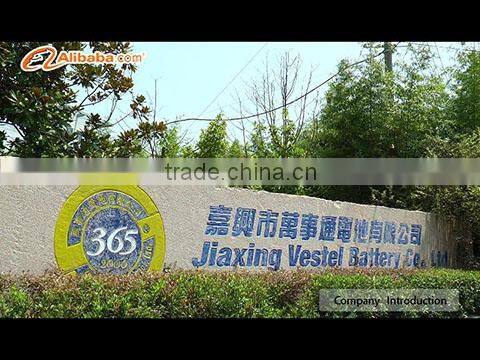 Jiaxing Vestel Battery Co., Ltd. company overview - view 1