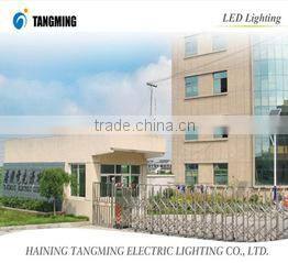 Haining Tangming Electric Lighting Co., Ltd. company overview - view 2