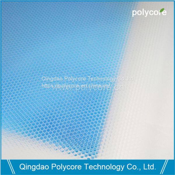 PC honeycomb core (1)