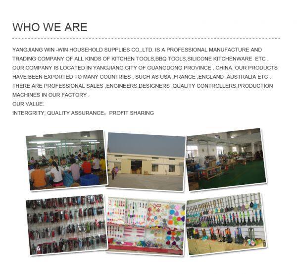 Yangjiang Win Win Household Suppliers Co.,Ltd. company overview - view 1
