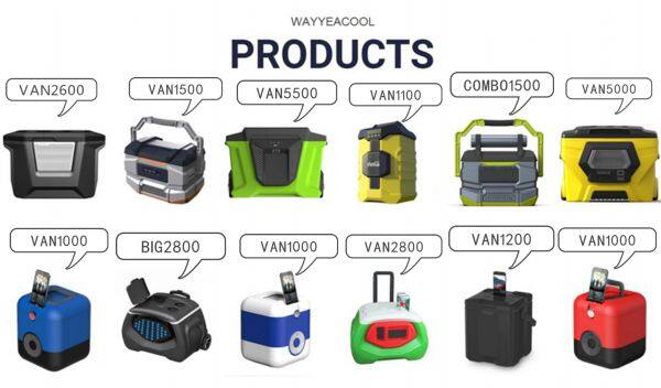 WAYYEACOOL Company company overview - view 1