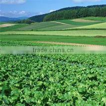 Anqiu Luda International Trade Co., Ltd. company overview - view 2
