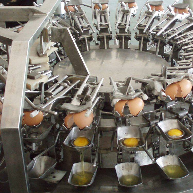 Haopeng Custom 500LPH Liquid Egg Pasteurization Production Line