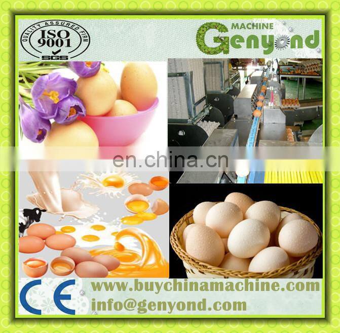 chicken egg weight grading machine/eggs sorting machine