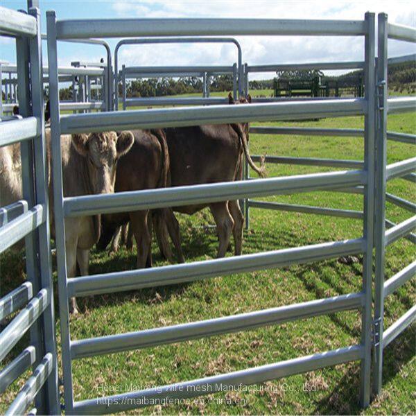 HTB1cWbYRFXXXXcDXXXXq6xXFXXXh