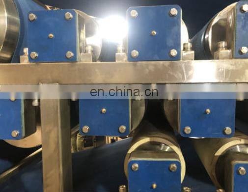 Industrial Canned Fruit Papaya Pineapple Processing Machine Papaya Juice Production Line