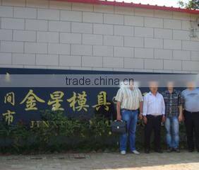 Hejian City Jinxing Mould Co., Ltd. company overview - view 1