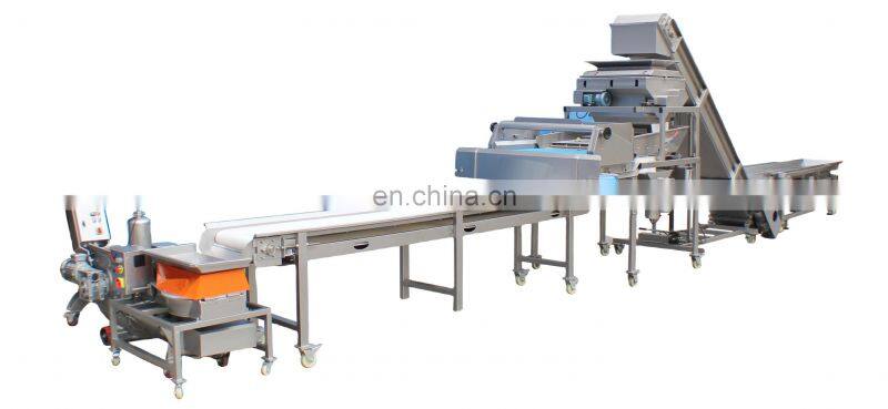 Industrial Grape Crushing Equipment Grape Stemming Crushing Stalk Removing unit Grape Stem Separator separation machine