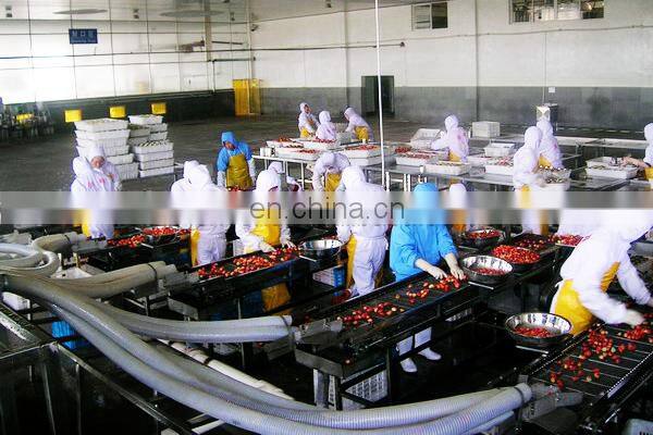 Automatic canned sweet strawberry processing plant / strawberry in syrup production line