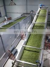 Black tea rolling machine / Black Tea Twisting Machine