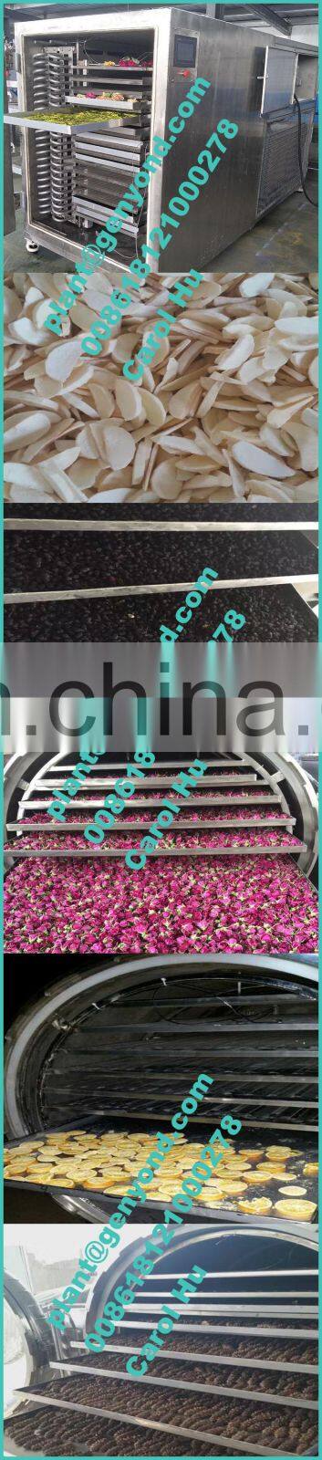 Factory genyond vacuum lyophilization lyophilized freeze dried FD food making machine lyophilizer freeze drying machine