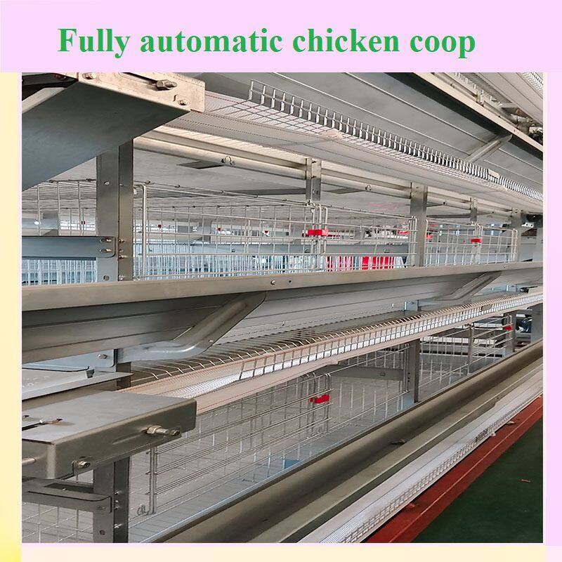 Fully automatic chicken coop and non fully automatic chicken coop
