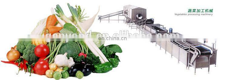 freezing diced pumpkin processing line