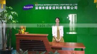 Shenzhen Raypole Technology Co., Ltd. company overview - view 2