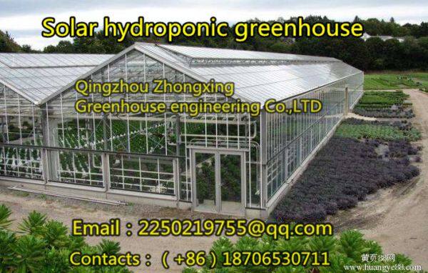 Zhongxing Greenhouse Engineering Co.,Ltd company overview - view 1