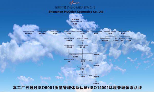Shenzhen Mycolor Cosmetics Co.,Ltd company overview - view 4